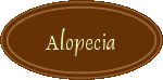 Alopecia areata - Fläckvist håravfall